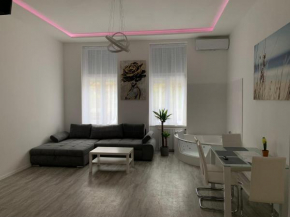 Luxury apartment in the central